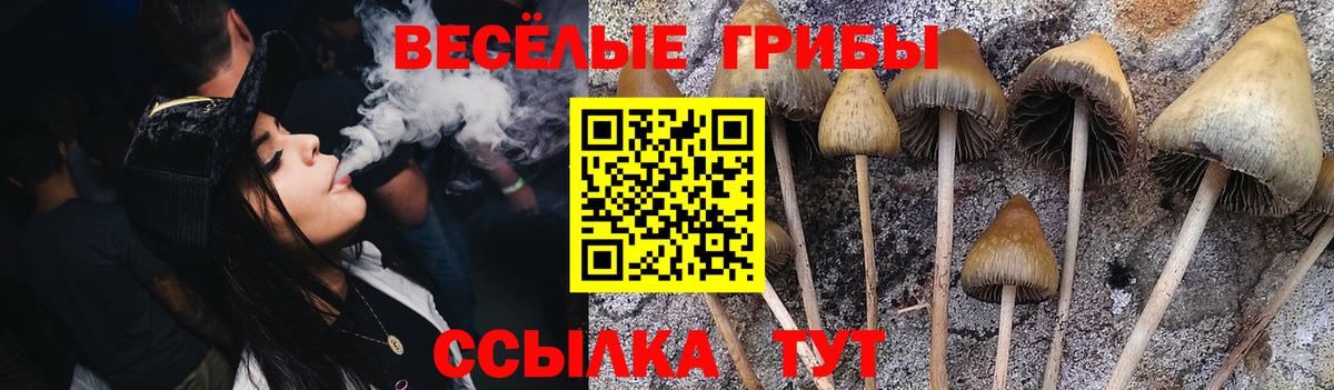 Галлюциногенные грибы ЛСД  Вход с VPN  Ноябрьск 